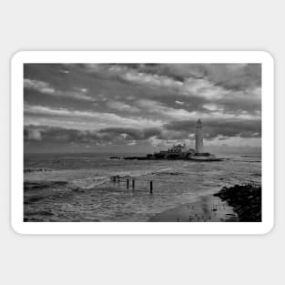 Sanderlings at St Mary's Island - Monochrom Sticker